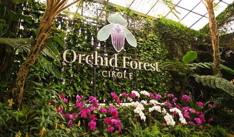 Menikmati Udara Segar di Orchid Forest Cikole dengan Hiace yang Luas
